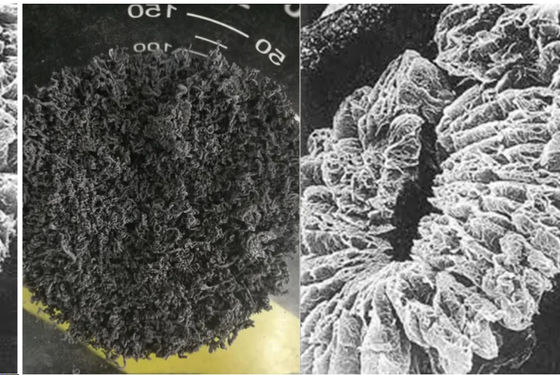 +100 mesh geëxpandeerd grafiet met hoog koolstofgehalte