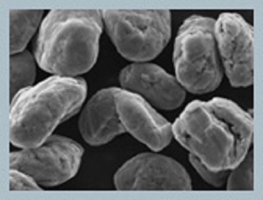 0,5% Hoge Koolstof 0.9-1.05g/Cc van Vochtigheidsli ion graphite 5um-25um 97-99.98%
